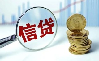上海个人抵押贷款-上海个人哪里可以借私借-上海个人民间借贷无抵押